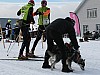 IMG_6295.jpg IMG_6295.jpg