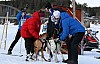 IMG_6301.jpg IMG_6301.jpg
