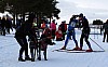 IMG_6304.jpg IMG_6304.jpg