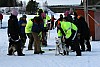 IMG_6306.jpg IMG_6306.jpg