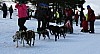 IMG_6308.jpg IMG_6308.jpg