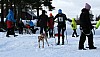 IMG_6309.jpg IMG_6309.jpg