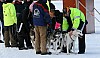IMG_6313.jpg IMG_6313.jpg