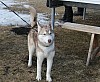 IMG_6321.jpg IMG_6321.jpg