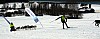 IMG_6323.jpg IMG_6323.jpg