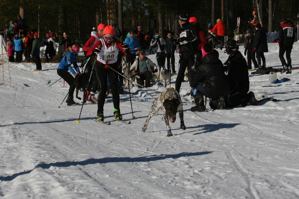 IMG_6376.jpg