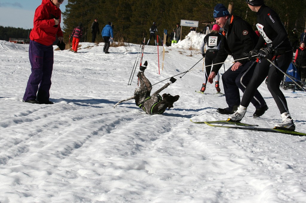IMG_6379.jpg