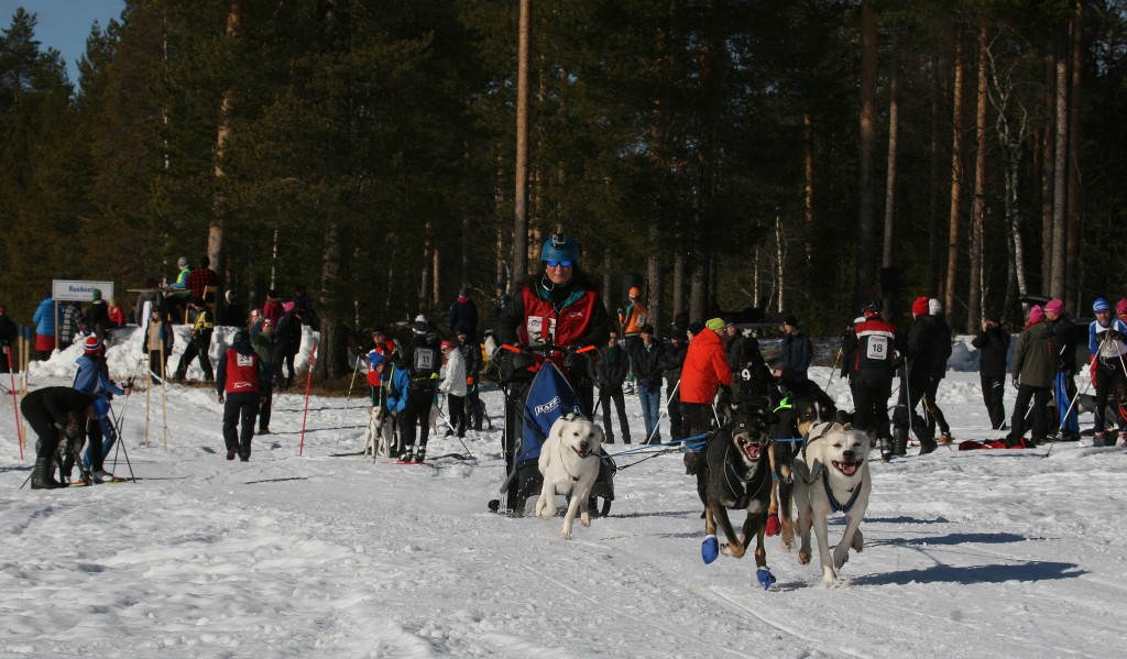 IMG_6384.jpg