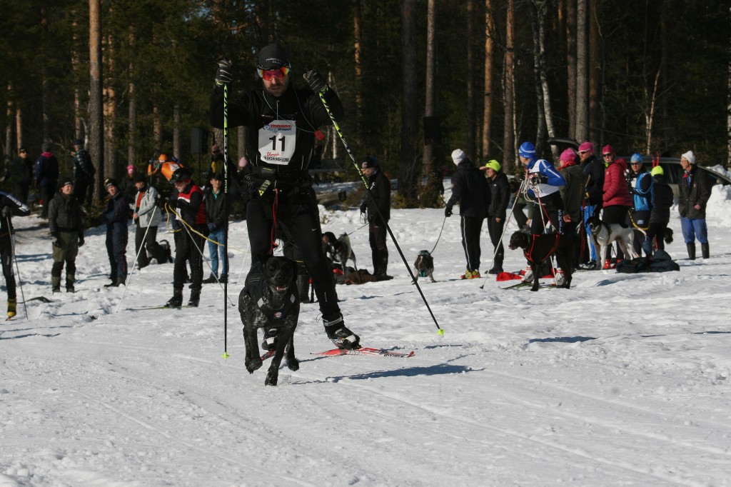 IMG_6386.jpg