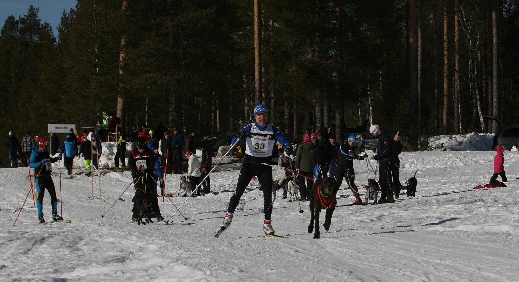 IMG_6390.jpg