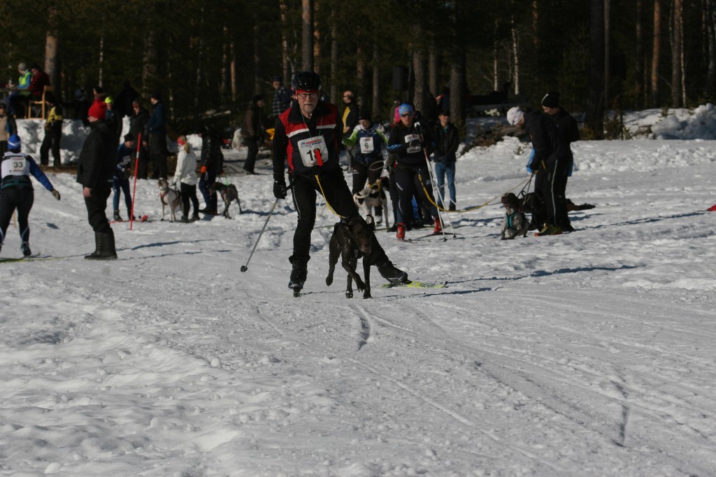 IMG_6391.jpg