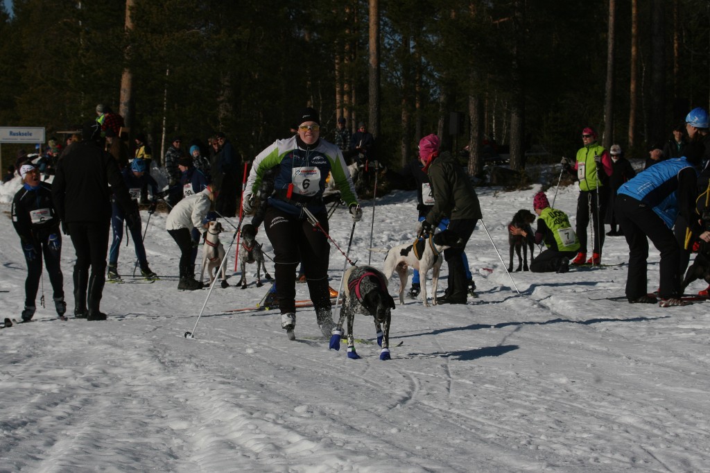 IMG_6392.jpg