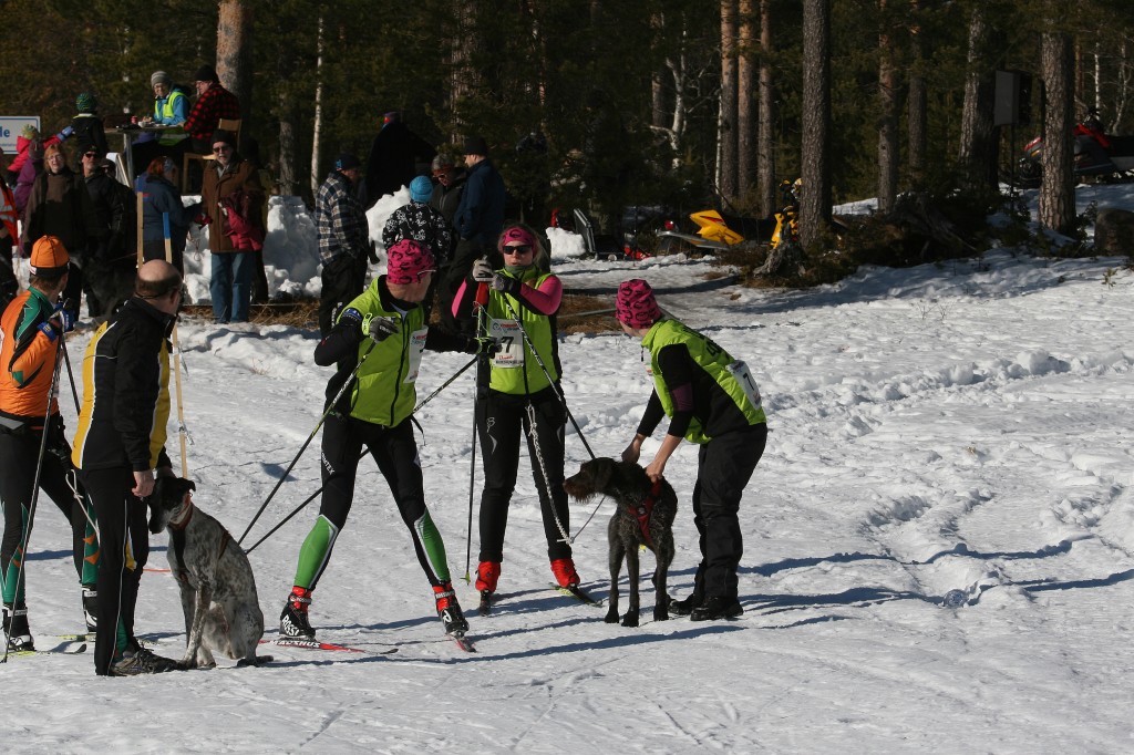 IMG_6397.jpg