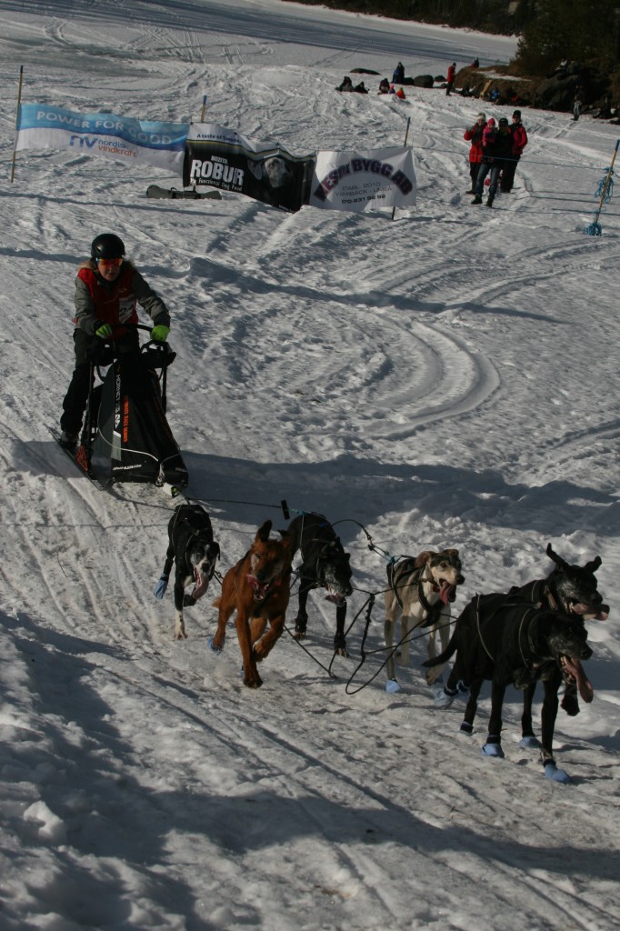 IMG_6449.jpg