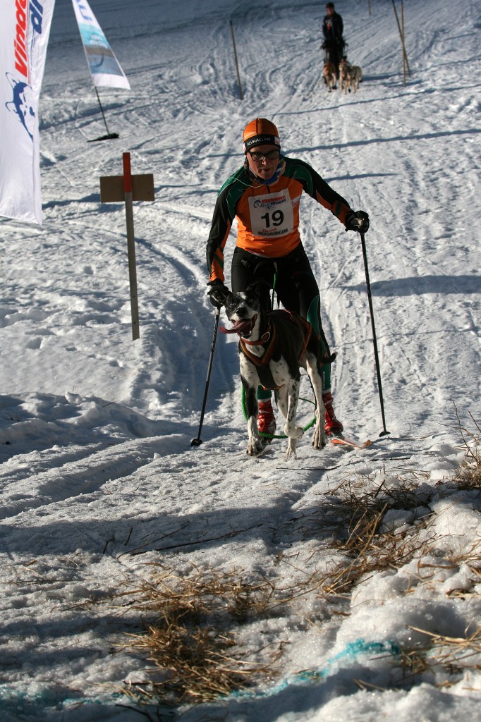 IMG_6460.jpg