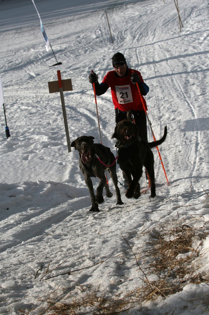 IMG_6471.jpg