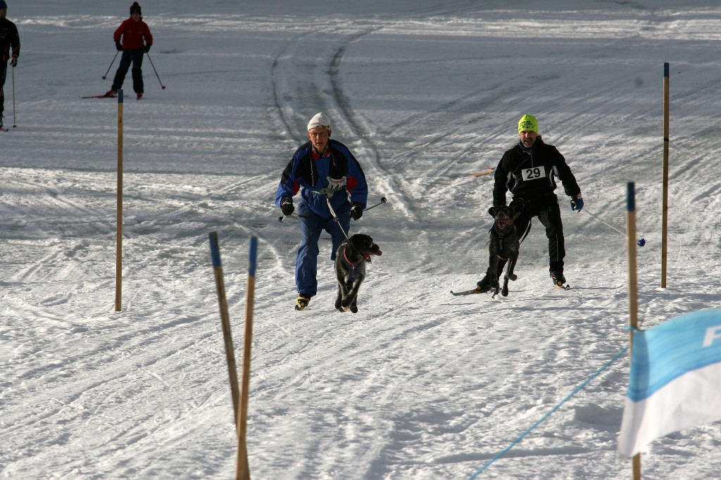 IMG_6473.jpg