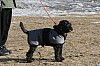 IMG_6333.jpg