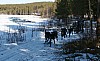 IMG_6342.jpg