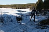 IMG_6344.jpg