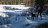 IMG_6350.jpg