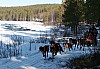 IMG_6353.jpg