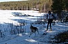 IMG_6354.jpg