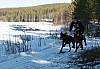 IMG_6356.jpg