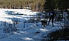 IMG_6358.jpg