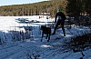 IMG_6359.jpg