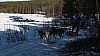 IMG_6364.jpg