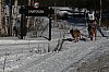 IMG_6370.jpg