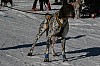 IMG_6371.jpg