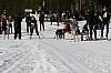 IMG_6373.jpg