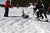 IMG_6379.jpg
