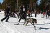 IMG_6380.jpg
