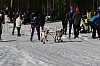 IMG_6394.jpg