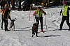 IMG_6398.jpg