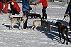 IMG_6430.jpg