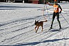IMG_6434.jpg