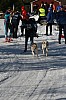 IMG_6438.jpg