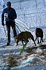IMG_6462.jpg