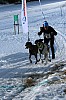 IMG_6463.jpg