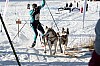 IMG_6466.jpg