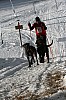 IMG_6471.jpg