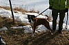 IMG_6482.jpg