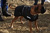 IMG_6483.jpg