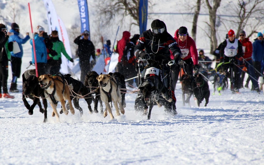 2017_start_img2.jpg