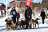 2017_3Y0A0628.jpg