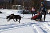 2017_3Y0A0663.jpg